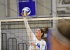 VB vs Springfield  Wheaton Women’s Volleyball vs Springfield College. - Photo by Keith Nordstrom