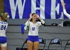 VB vs Springfield  Wheaton Women’s Volleyball vs Springfield College. - Photo by Keith Nordstrom