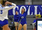 VB vs Springfield  Wheaton Women’s Volleyball vs Springfield College. - Photo by Keith Nordstrom