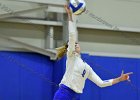 VB vs Springfield  Wheaton Women’s Volleyball vs Springfield College. - Photo by Keith Nordstrom