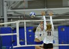 VB vs Springfield  Wheaton Women’s Volleyball vs Springfield College. - Photo by Keith Nordstrom