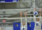 VB vs Springfield  Wheaton Women’s Volleyball vs Springfield College. - Photo by Keith Nordstrom