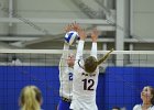 VB vs Springfield  Wheaton Women’s Volleyball vs Springfield College. - Photo by Keith Nordstrom
