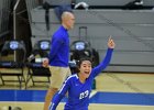 VB vs Springfield  Wheaton Women’s Volleyball vs Springfield College. - Photo by Keith Nordstrom