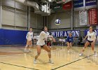 VB vs Springfield  Wheaton Women’s Volleyball vs Springfield College. - Photo by Keith Nordstrom