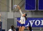 VB vs Springfield  Wheaton Women’s Volleyball vs Springfield College. - Photo by Keith Nordstrom