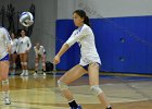 VB vs Springfield  Wheaton Women’s Volleyball vs Springfield College. - Photo by Keith Nordstrom