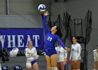 VB vs Springfield  Wheaton Women’s Volleyball vs Springfield College. - Photo by Keith Nordstrom