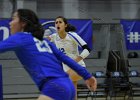 VB vs Springfield  Wheaton Women’s Volleyball vs Springfield College. - Photo by Keith Nordstrom