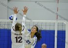 VB vs Springfield  Wheaton Women’s Volleyball vs Springfield College. - Photo by Keith Nordstrom