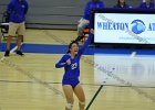 VB vs Springfield  Wheaton Women’s Volleyball vs Springfield College. - Photo by Keith Nordstrom