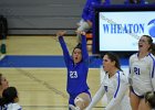 VB vs Springfield  Wheaton Women’s Volleyball vs Springfield College. - Photo by Keith Nordstrom
