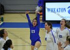 VB vs Springfield  Wheaton Women’s Volleyball vs Springfield College. - Photo by Keith Nordstrom