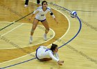 VB vs Springfield  Wheaton Women’s Volleyball vs Springfield College. - Photo by Keith Nordstrom