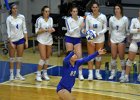 VB vs Springfield  Wheaton Women’s Volleyball vs Springfield College. - Photo by Keith Nordstrom
