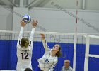VB vs Springfield  Wheaton Women’s Volleyball vs Springfield College. - Photo by Keith Nordstrom