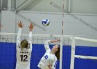 VB vs Springfield  Wheaton Women’s Volleyball vs Springfield College. - Photo by Keith Nordstrom