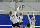 VB vs Springfield  Wheaton Women’s Volleyball vs Springfield College. - Photo by Keith Nordstrom