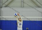VB vs Springfield  Wheaton Women’s Volleyball vs Springfield College. - Photo by Keith Nordstrom