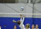 VB vs Springfield  Wheaton Women’s Volleyball vs Springfield College. - Photo by Keith Nordstrom