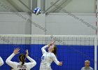 VB vs Springfield  Wheaton Women’s Volleyball vs Springfield College. - Photo by Keith Nordstrom