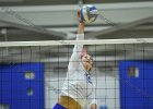 VB vs UMass Boston  Wheaton Women’s Volleyball vs UMass Boston. - Photo by Keith Nordstrom