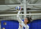 VB vs UMass Boston  Wheaton Women’s Volleyball vs UMass Boston. - Photo by Keith Nordstrom