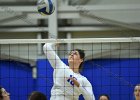 VB vs UMass Boston  Wheaton Women’s Volleyball vs UMass Boston. - Photo by Keith Nordstrom