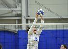 VB vs UMass Boston  Wheaton Women’s Volleyball vs UMass Boston. - Photo by Keith Nordstrom