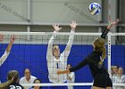VB vs UMass Boston  Wheaton Women’s Volleyball vs UMass Boston. - Photo by Keith Nordstrom