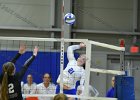 VB vs UMass Boston  Wheaton Women’s Volleyball vs UMass Boston. - Photo by Keith Nordstrom