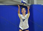 VB vs UMass Boston  Wheaton Women’s Volleyball vs UMass Boston. - Photo by Keith Nordstrom