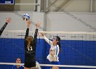 VB vs UMass Boston  Wheaton Women’s Volleyball vs UMass Boston. - Photo by Keith Nordstrom