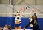 VB vs UMass Boston  Wheaton Women’s Volleyball vs UMass Boston. - Photo by Keith Nordstrom