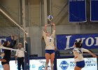 VB vs UMass Boston  Wheaton Women’s Volleyball vs UMass Boston. - Photo by Keith Nordstrom