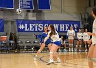 VB vs UMass Boston  Wheaton Women’s Volleyball vs UMass Boston. - Photo by Keith Nordstrom