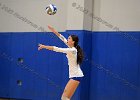 VB vs UMass Boston  Wheaton Women’s Volleyball vs UMass Boston. - Photo by Keith Nordstrom