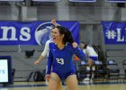 VB vs UMass Boston  Wheaton Women’s Volleyball vs UMass Boston. - Photo by Keith Nordstrom