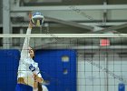 Wheaton Women's Volleyball  Wheaton Women's Volleyball vs UMass Dartmouth. - Photo by Keith Nordstrom : Wheaton, Volleyball, UMass, Dartmouth
