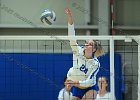 Wheaton Women's Volleyball  Wheaton Women's Volleyball vs UMass Dartmouth. - Photo by Keith Nordstrom : Wheaton, Volleyball, UMass, Dartmouth