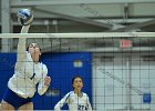 Wheaton Women's Volleyball  Wheaton Women's Volleyball vs UMass Dartmouth. - Photo by Keith Nordstrom : Wheaton, Volleyball, UMass, Dartmouth