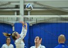 Wheaton Women's Volleyball  Wheaton Women's Volleyball vs UMass Dartmouth. - Photo by Keith Nordstrom : Wheaton, Volleyball, UMass, Dartmouth