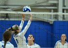 Wheaton Women's Volleyball  Wheaton Women's Volleyball vs UMass Dartmouth. - Photo by Keith Nordstrom : Wheaton, Volleyball, UMass, Dartmouth