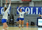 Wheaton Women's Volleyball  Wheaton Women's Volleyball vs UMass Dartmouth. - Photo by Keith Nordstrom : Wheaton, Volleyball, UMass, Dartmouth