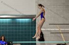 Women's Diving Maddy Morrison  Wheaton College Women's diver Maddy Morrison competes against Bentley College. - Photo By: KEITH NORDSTROM : Wheaton, Swimming, Diving, Maddy Morrison