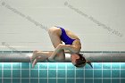 Women's Diving Maddy Morrison  Wheaton College Women's diver Maddy Morrison competes against Bentley College. - Photo By: KEITH NORDSTROM : Wheaton, Swimming, Diving, Maddy Morrison