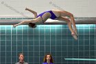 Women's Diving Maddy Morrison  Wheaton College Women's diver Maddy Morrison competes against Bentley College. - Photo By: KEITH NORDSTROM : Wheaton, Swimming, Diving, Maddy Morrison