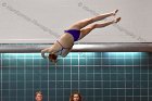 Women's Diving Maddy Morrison  Wheaton College Women's diver Maddy Morrison competes against Bentley College. - Photo By: KEITH NORDSTROM : Wheaton, Swimming, Diving, Maddy Morrison